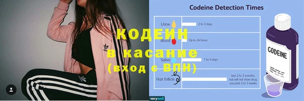 гашик Киренск