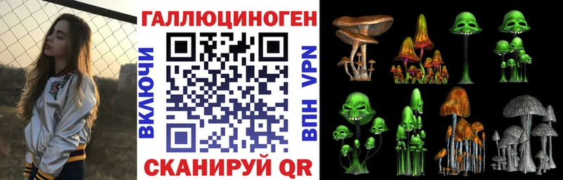 Купить закладки  Коркино  Псилоцибиновые грибы Cubensis 